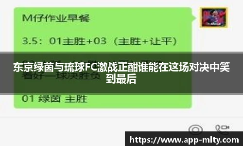 东京绿茵与琉球FC激战正酣谁能在这场对决中笑到最后