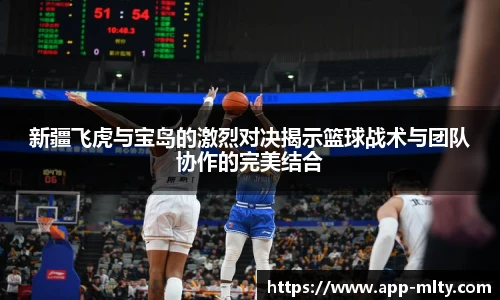 新疆飞虎与宝岛的激烈对决揭示篮球战术与团队协作的完美结合